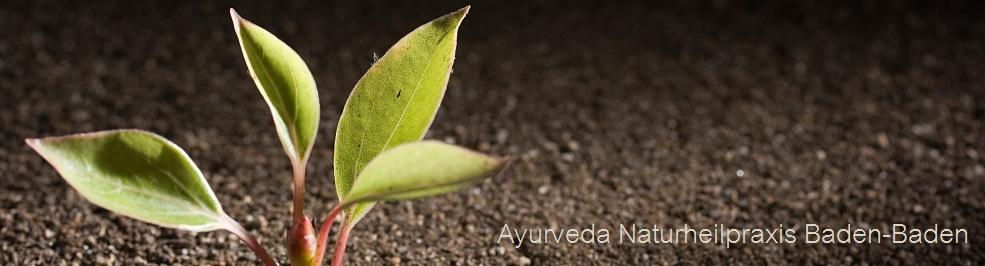 Behandlungskosten - ayurveda-baden.de